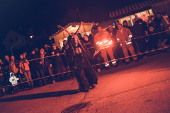 Photo by Sascha Fiala