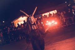 Photo by Sascha Fiala