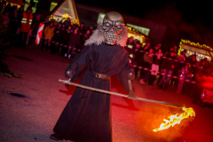 Photo by Sascha Fiala