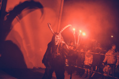 Photo by Sascha Fiala