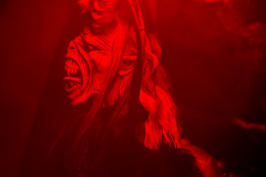 Photo by Sascha Fiala