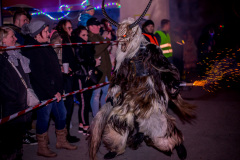 Photo by Sascha Fiala