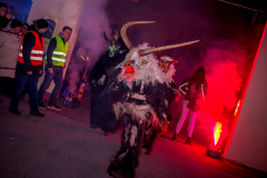 Photo by Sascha Fiala