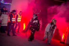 Photo by Sascha Fiala