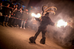 Photo by Sascha Fiala