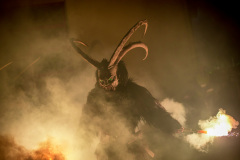 Photo by Sascha Fiala