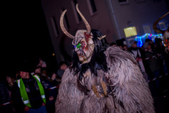 Photo by Sascha Fiala