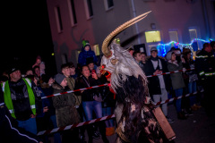 Photo by Sascha Fiala