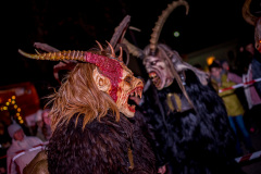 Photo by Sascha Fiala