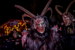 Photo by Sascha Fiala