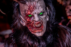 Photo by Sascha Fiala