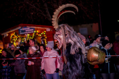 Photo by Sascha Fiala