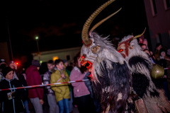 Photo by Sascha Fiala