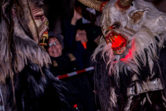 Photo by Sascha Fiala