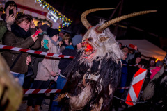 Photo by Sascha Fiala