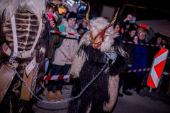 Photo by Sascha Fiala