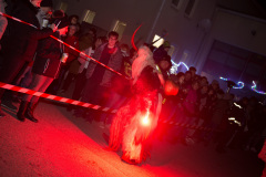 Photo by Sascha Fiala