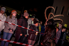 Photo by Sascha Fiala