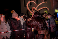 Photo by Sascha Fiala