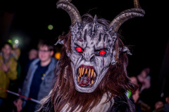 Photo by Sascha Fiala