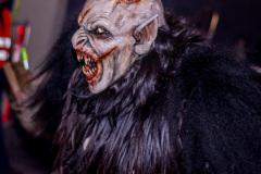 Photo by Sascha Fiala