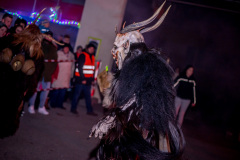 Photo by Sascha Fiala