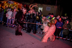 Photo by Sascha Fiala