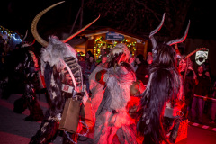 Photo by Sascha Fiala