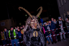 Photo by Sascha Fiala