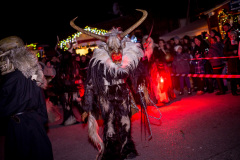 Photo by Sascha Fiala