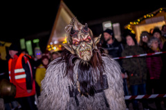 Photo by Sascha Fiala