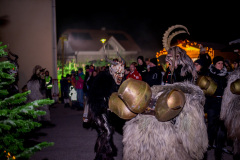 Photo by Sascha Fiala