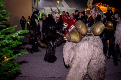 Photo by Sascha Fiala