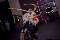 Photo by Sascha Fiala