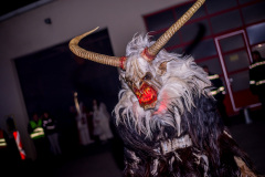 Photo by Sascha Fiala