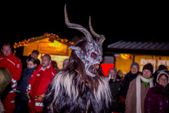 Photo by Sascha Fiala