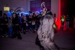 Photo by Sascha Fiala