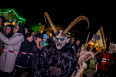 Photo by Sascha Fiala