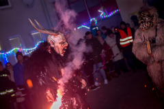 Photo by Sascha Fiala