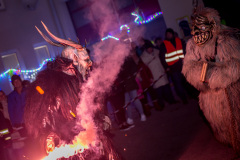 Photo by Sascha Fiala