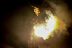 Photo by Sascha Fiala