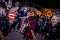 Photo by Sascha Fiala