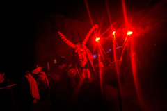 Photo by Sascha Fiala