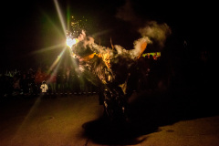 Photo by Sascha Fiala