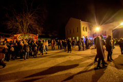 Photo by Sascha Fiala