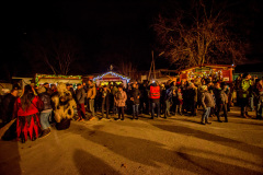 Photo by Sascha Fiala