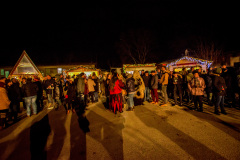 Photo by Sascha Fiala