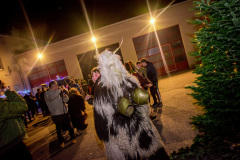 Photo by Sascha Fiala