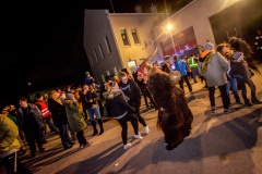 Photo by Sascha Fiala