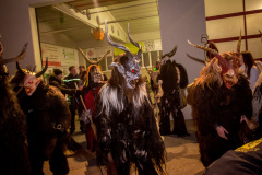 Photo by Sascha Fiala